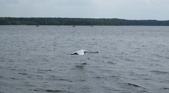 Sprawdź, gdzie można się kąpać