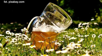 Piwo pod chmurką. Posłowie Kukiz'15 opracowali projekt ustawy