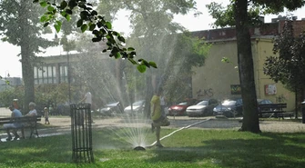 Kurtyny wodne w Piotrkowie