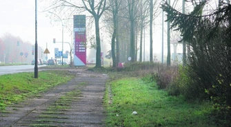 Co z tą Castoramą? 