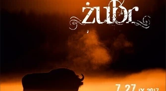 Żubr w roli głównej 