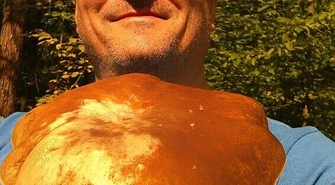 W sanepidzie sprawdzisz, czy grzyb jest jadalny