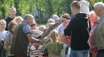 Orły i sokoły zachwyciły piotrkowian