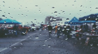 Noga z gazu! Jesień na drodze