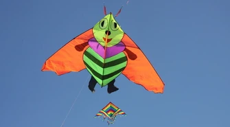 W niedzielę Święto Latawca 