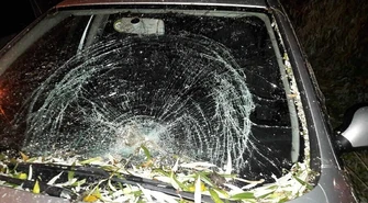 Mocno wieje w Piotrkowie. Straż Pożarna ma dużo pracy