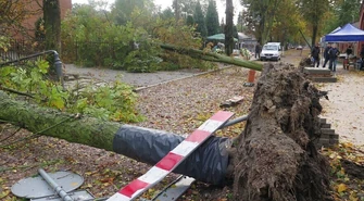 Ksawery wyrywał drzewa z korzeniami [VIDEO]
