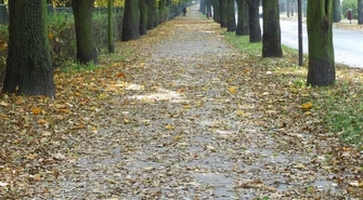 &#8222;Budowlanka&#8221; z Reymontem. O 12.00 początek festynu! 