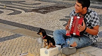 Żebrzący naciągają?