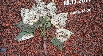 Podsumowanie Ogólnopolskiego Konkursu na Fraszkę Trybunalską 