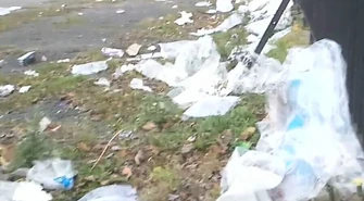 "Świnie w Piotrkowie" czyli co pozostawiają po sobie kupcy