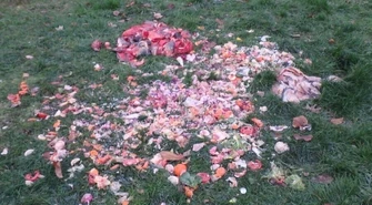 Głowy karpi na skwerze przy podstawówce 