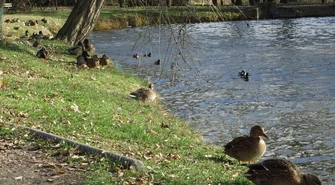 Siłownia i plac zabaw w parku Belzackim