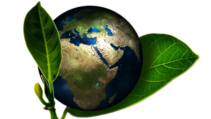 Wpływ działalności człowieka na środowisko - zwiększona świadomość ekologiczna przedsiębiorców