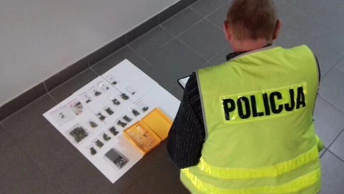 Marihuanę ukryli w książce 