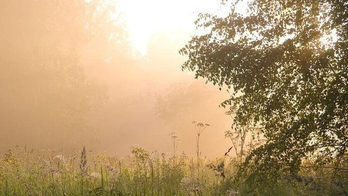Silna mgła w nocy w Łódzkiem