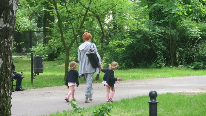 W Piotrkowie źle zarządzają miejską zielenią?