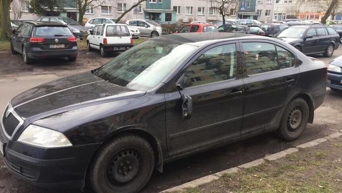 Ul. Belzacka w Piotrkowie. Wandal uszkodził siedem samochodów 