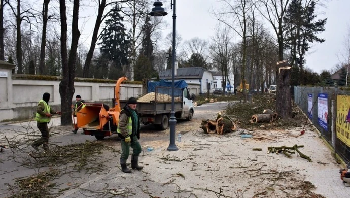 Posadzą drzewa na Cmentarnej