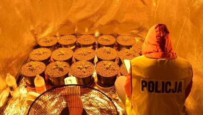 Rodzinny biznes rozbiła policja 