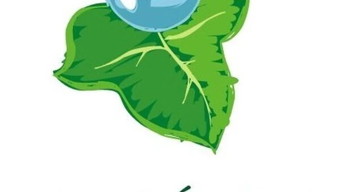 Jak starać się o dofinansowanie w WFOŚiGW? 