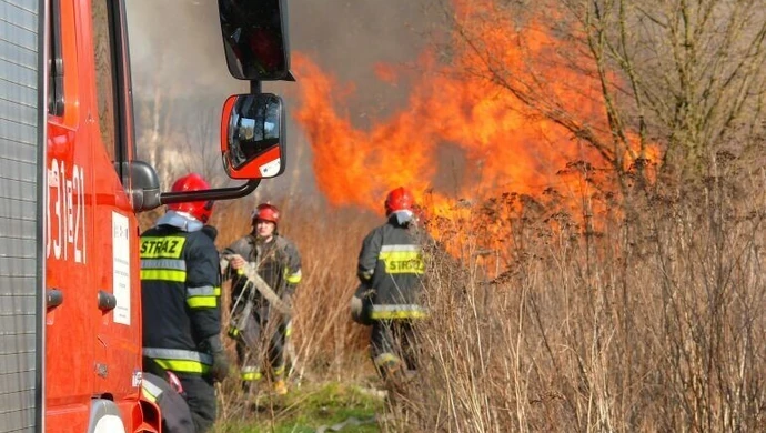 Chciał tylko wypalić suchą trawę. Doszło do pożaru 