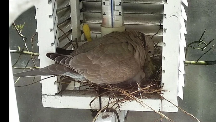 Wiosna tuż za oknem redakcji [WIDEO]