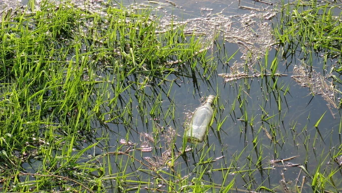 W tym roku też posprzątają Pilicę