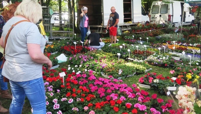 Kwiaty, sadzonki i zdrowa żywność na kolejnych targach w Bykach
