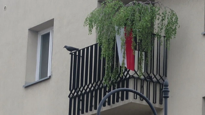 Czy w Piotrkowie są flagi na Dzień Flagi?
