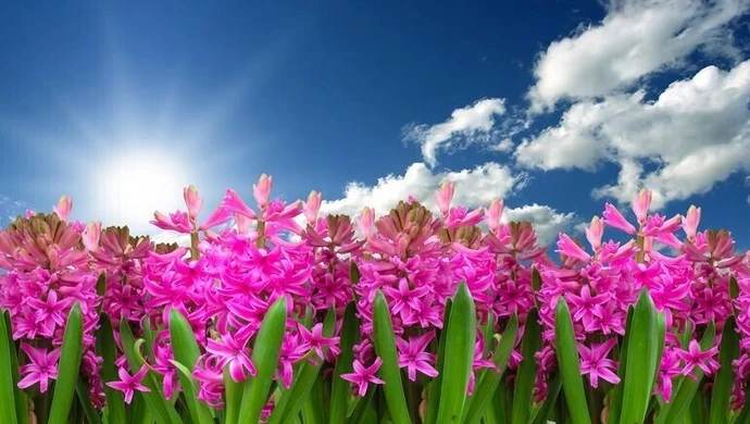 Jaka pogoda na weekend i najbliższe dni?