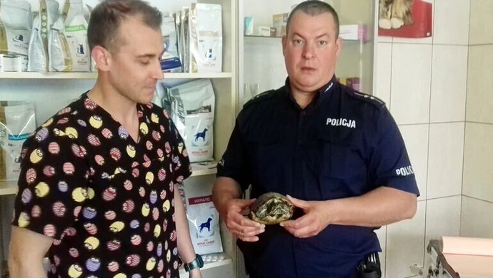Interweniowali w sprawie żółwia