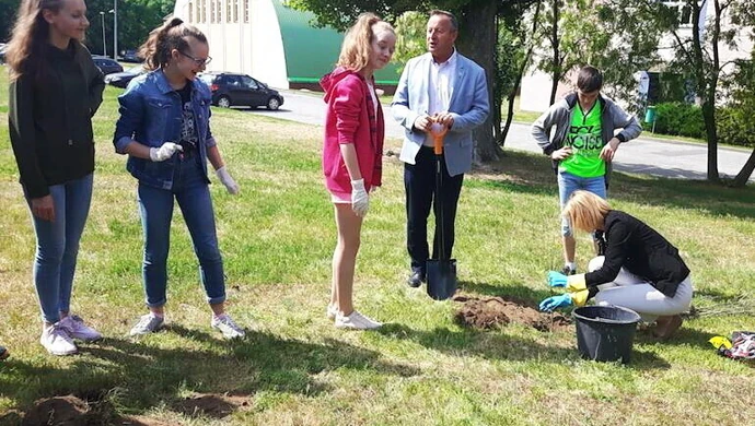 Dęby Niepodległości w Wolborzu