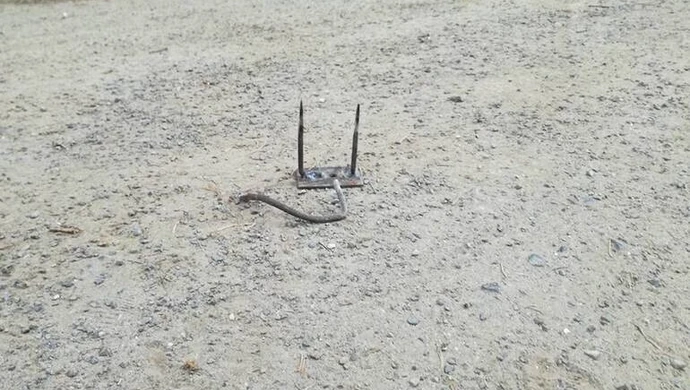 Kto zastawia pułapki na spacerowiczów?