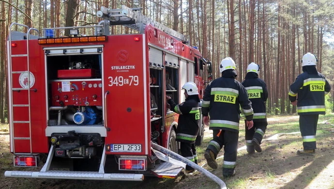 Pożary lasów w powiecie piotrkowskim. Strażacy apelują o rozwagę