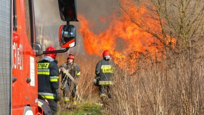 Podpalacz lasów w gminie Rozprza?