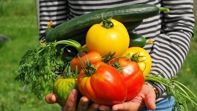 Grabica zaprasza na "Warzywne Smaki Regionu".