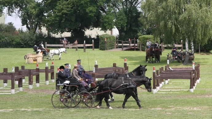 Śmietanka polskiego jeździectwa przyjechała do Bogusławic