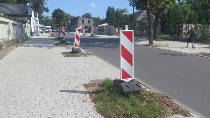 Biało-czerwone drzewa na Cmentarnej w Piotrkowie