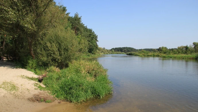 Z cyklu "Przyroda zawsze Ci odda" - Pilica