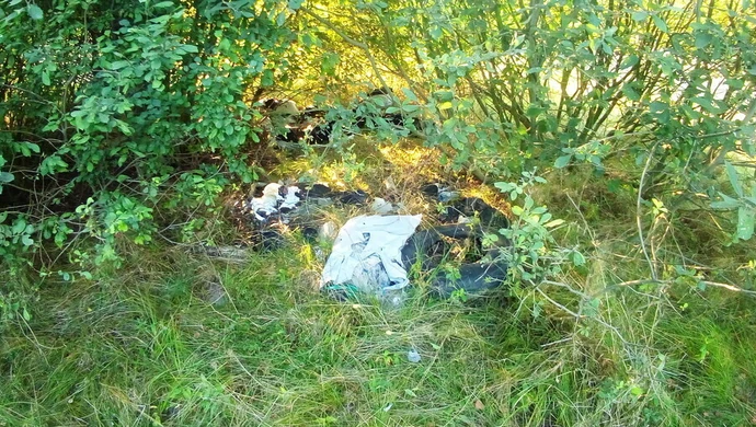 Śmieciowe problemy w gminie Rozprza