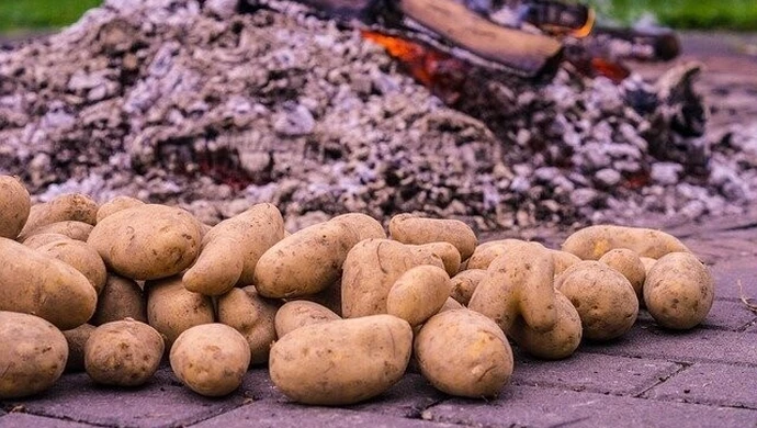 Dzień pieczonego ziemniaka na Wierzejach