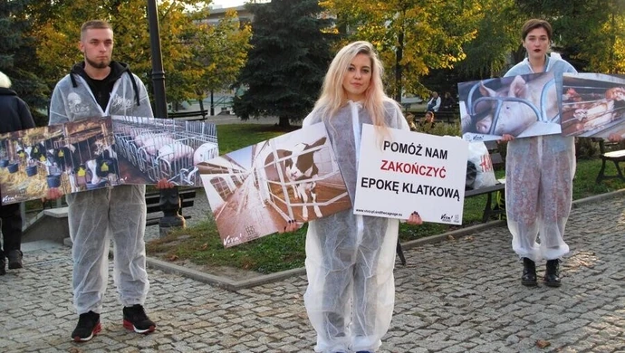 Chcą skończyć z hodowlą klatkową. Zbierali podpisy w centrum Piotrkowa 