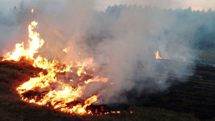 Tak się kończy wypalanie trawy 