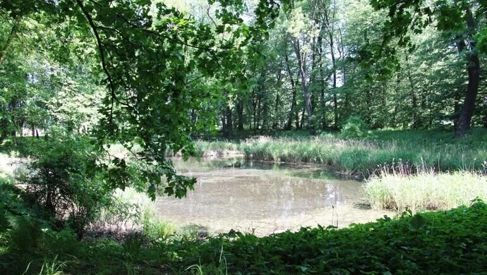 Mają prawie 2 mln dofinansowania na rewaloryzację parku w Woli Krzysztoporskiej