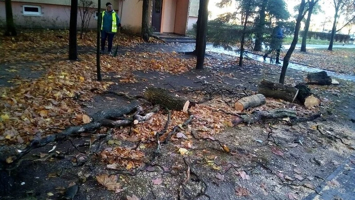 Są straty po wichurze 