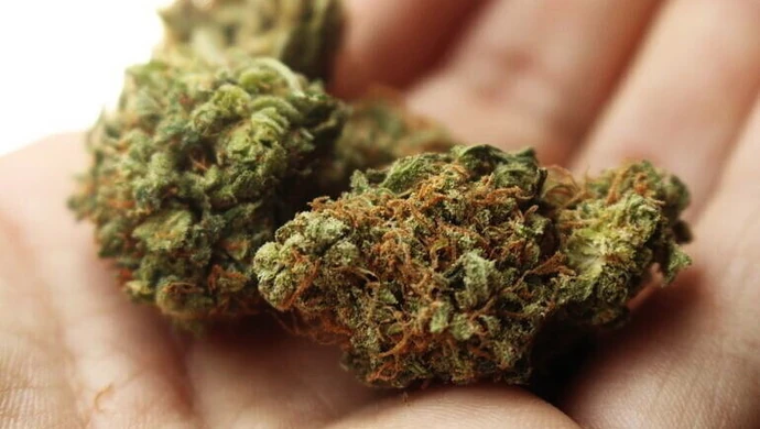 Prawie 250 gramów marihuany w mieszkaniu 37-latka 