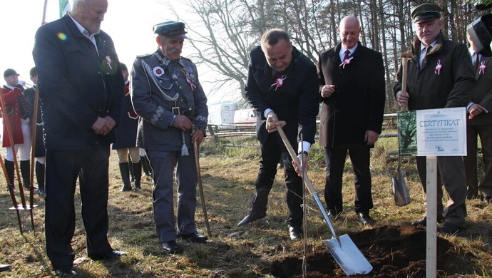 Dąb Bartuś na powiatowych obchodach stulecia wolnej Polski