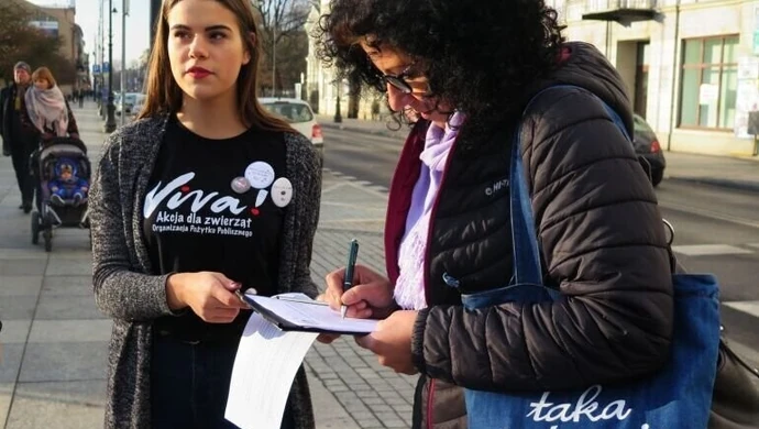 Zbiórka podpisów na ulicach Piotrkowa. Viva znów broni zwierząt 