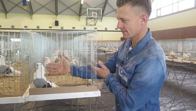 Wystawa gołębi rasowych w Moszczenicy